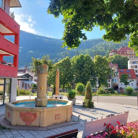 Apartement Am Waldrand Bad Wildbad Εξωτερικό φωτογραφία