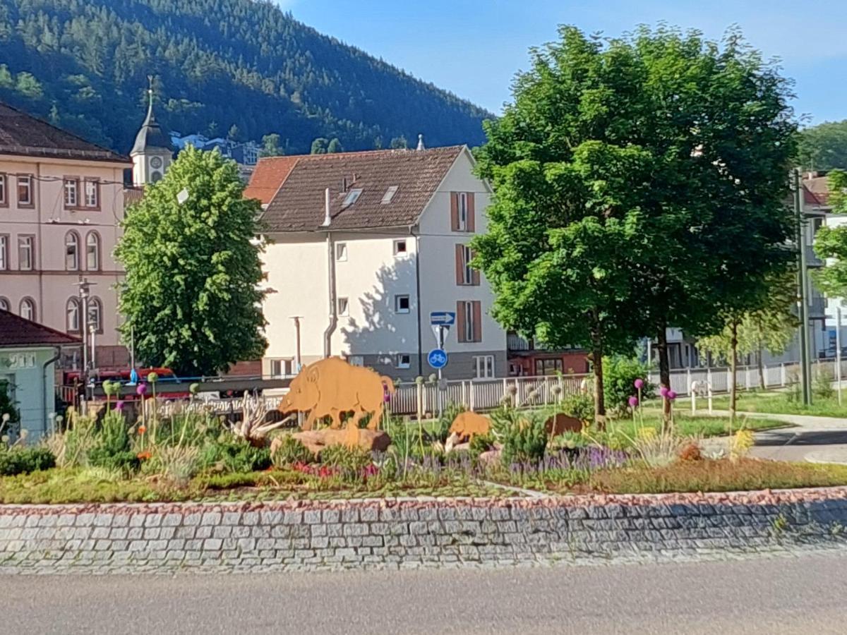 Apartement Am Waldrand Bad Wildbad Εξωτερικό φωτογραφία